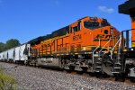 BNSF 6674 Roster shot